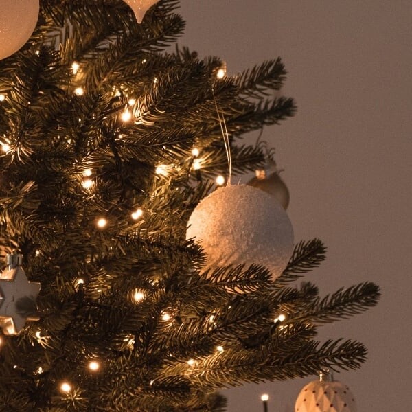 Gesloten 23 dec. t/m 5 jan.